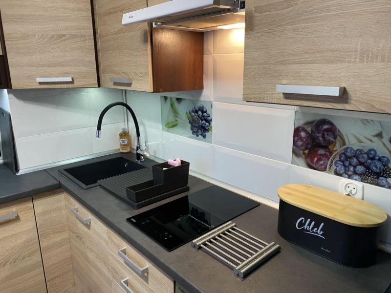 Apartament ,, Sen I Kawa" - Komfortowy Nocleg W Sercu Aglomeracji ビトム エクステリア 写真