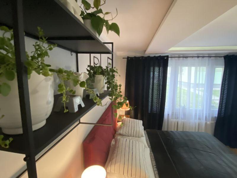 Apartament ,, Sen I Kawa" - Komfortowy Nocleg W Sercu Aglomeracji ビトム エクステリア 写真